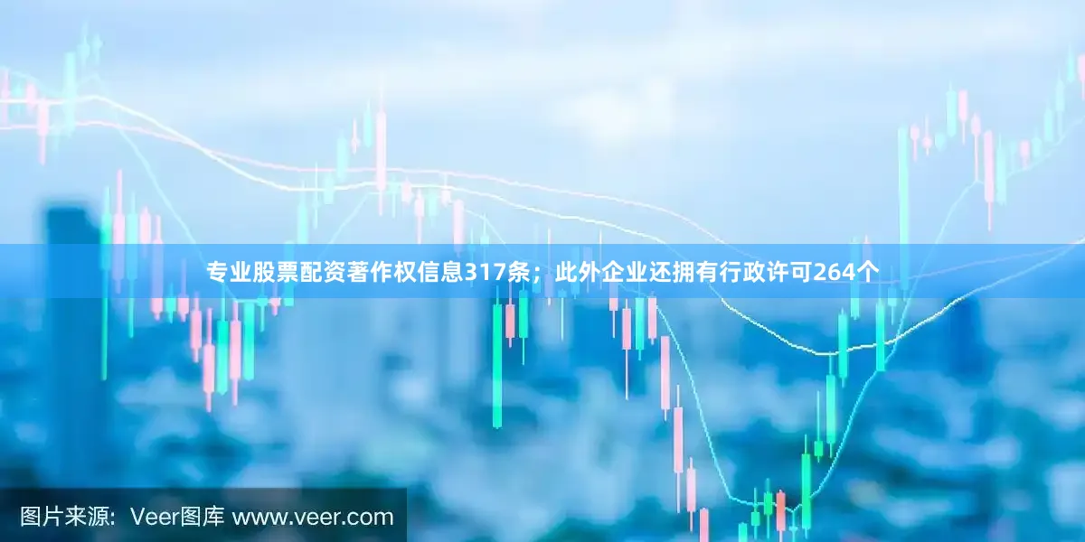 专业股票配资著作权信息317条；此外企业还拥有行政许可264个