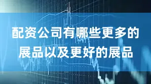 配资公司有哪些更多的展品以及更好的展品