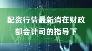 配资行情最新消在财政部会计司的指导下